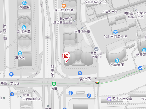 IM体育